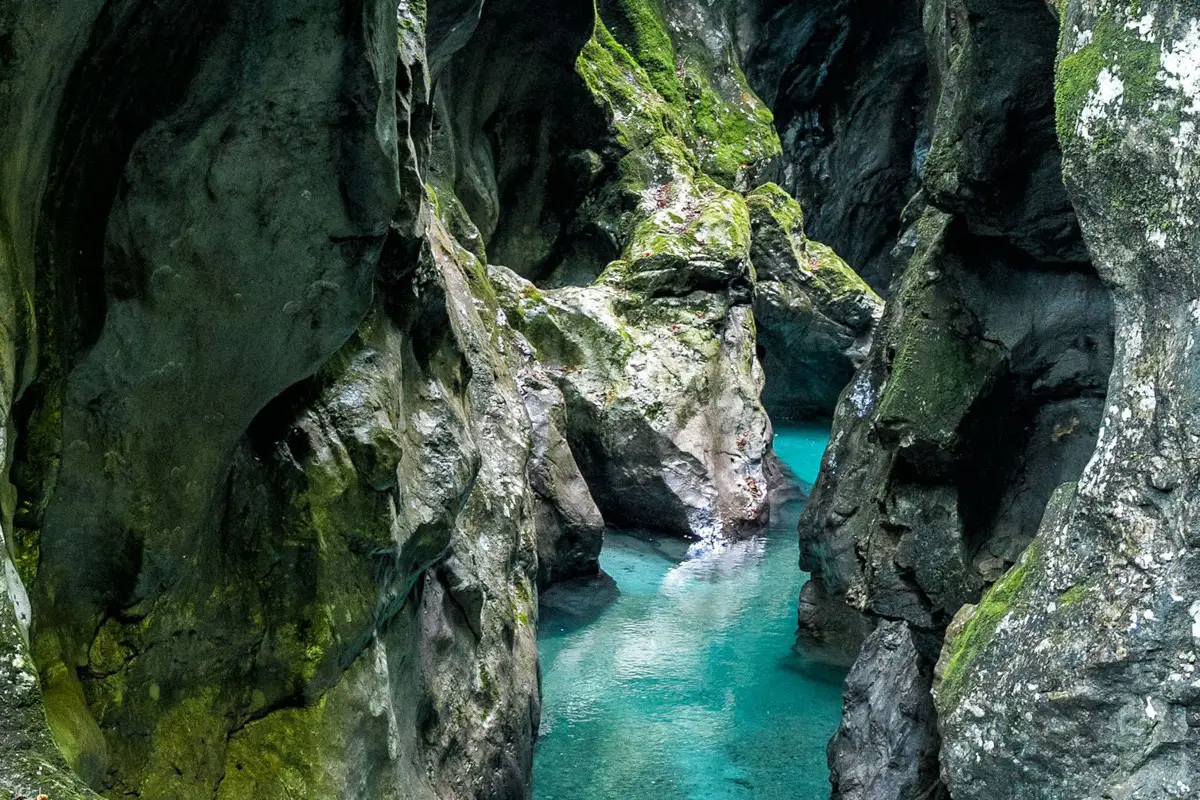 Narrow canyon with turquoise water flowing between steep, moss-covered rocky walls.